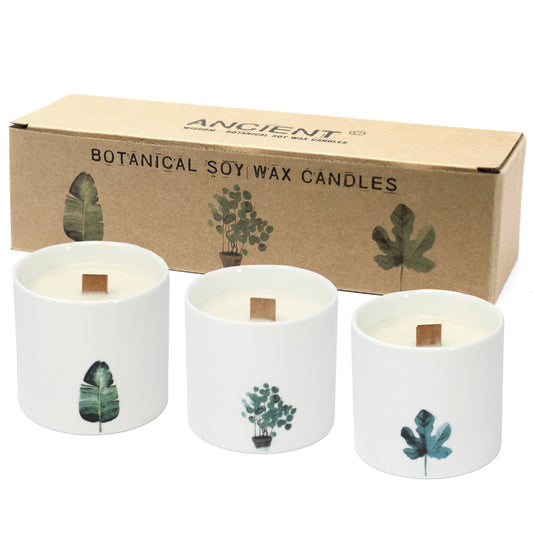 Large Botanical Candles - Marsh Viola